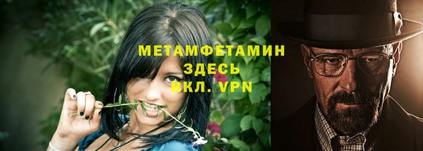 ПСИЛОЦИБИНОВЫЕ ГРИБЫ Заволжье