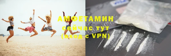 ПСИЛОЦИБИНОВЫЕ ГРИБЫ Заволжье