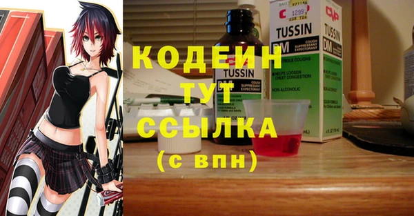 ПСИЛОЦИБИНОВЫЕ ГРИБЫ Заволжье