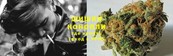 ПСИЛОЦИБИНОВЫЕ ГРИБЫ Заволжье