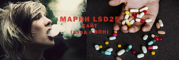 ПСИЛОЦИБИНОВЫЕ ГРИБЫ Заволжье